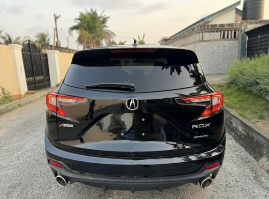 2019 Acura Rdx Aspec